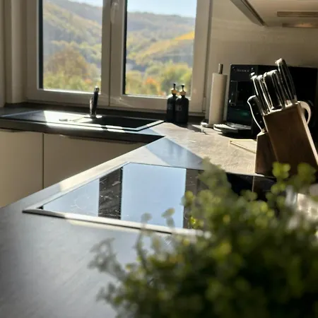 Fewo Klosterblick Sowie Weinberge & Drachenflieger Zeltingen-Rachtig Exterior photo