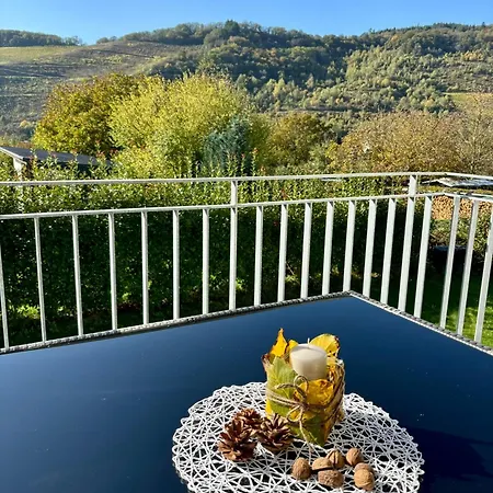 Fewo Klosterblick Sowie Weinberge & Drachenflieger Zeltingen-Rachtig Exterior photo