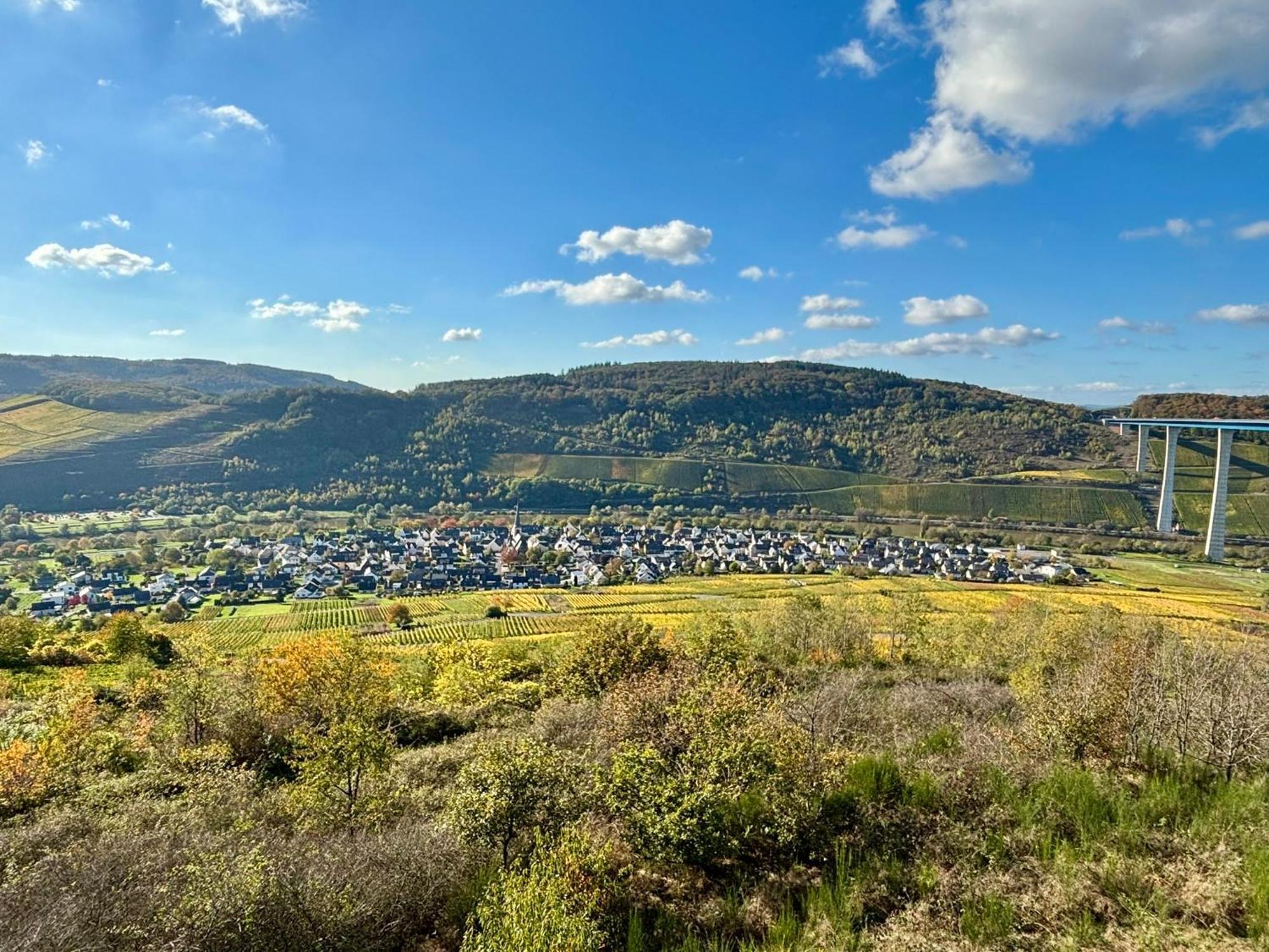 Apartament Klosterblick Sowie Weinberge & Drachenflieger Zeltingen-Rachtig