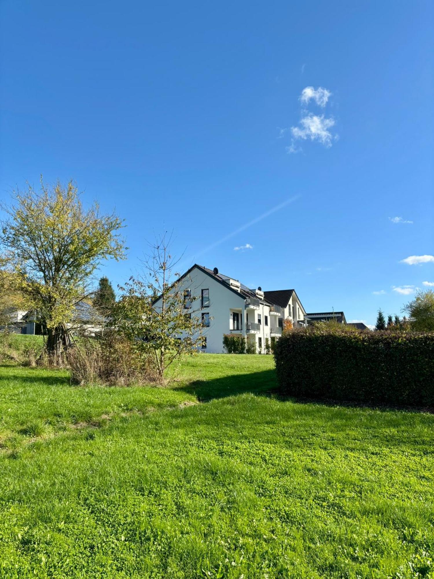 Klosterblick Sowie Weinberge & Drachenflieger Zeltingen-Rachtig