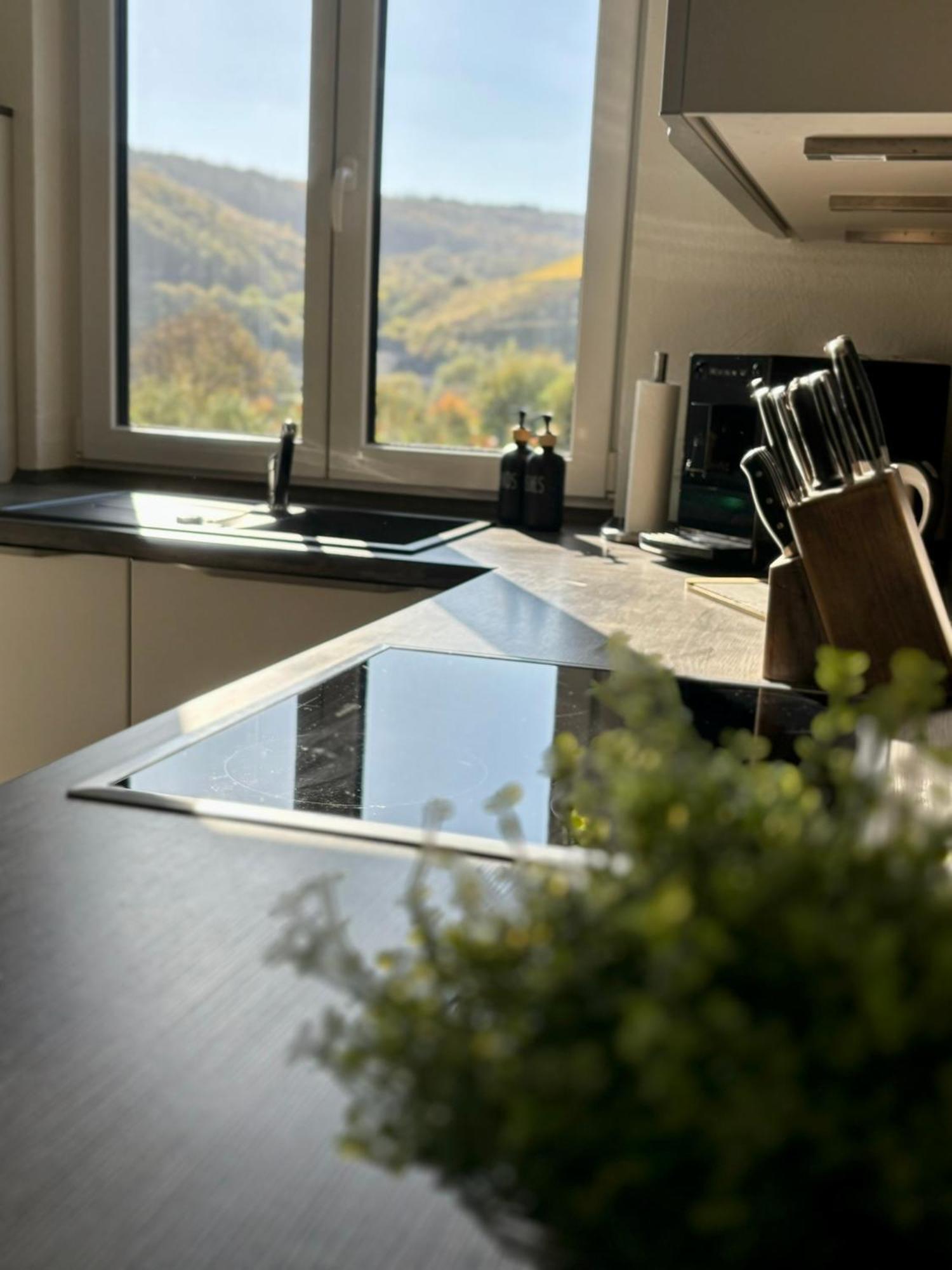 Klosterblick Sowie Weinberge & Drachenflieger Apartment Zeltingen-Rachtig